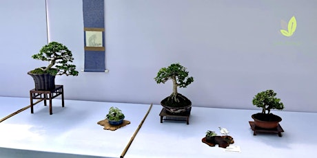 Fundamentos basicos del bonsai