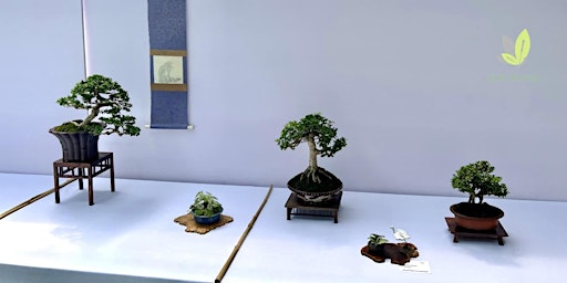 Imagen principal de Fundamentos basicos del bonsai