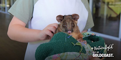 Hauptbild für NaturallyGC  Kids- Wildlife Encounters