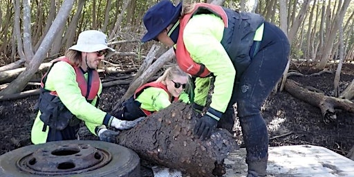 Imagem principal do evento Lemon Tree Passage waterway clean up