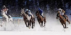 Image principale de Extremely attractive horse racing event