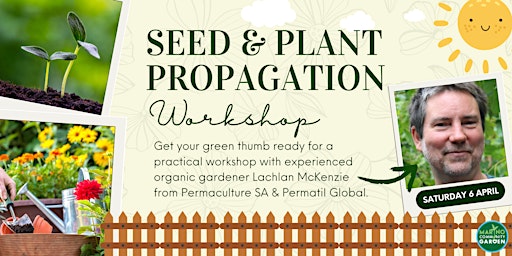 Immagine principale di Seed and Plant Propagating Workshop @ Marino Community Garden 