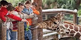 The event for children to visit the zoo is extremely attractive  primärbild