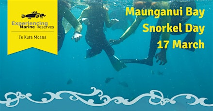Hauptbild für Maunganui Bay Snorkel Day