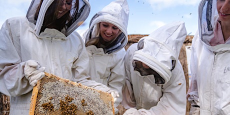 The World of Bees, a "Honey Masterclass" primary image