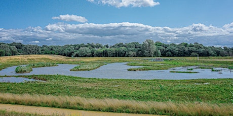 Great British Spring Clean Kersal Wetlands