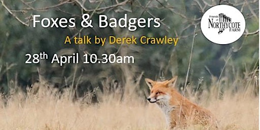 Image principale de Foxes and Badgers a Talk by Derek Crawley