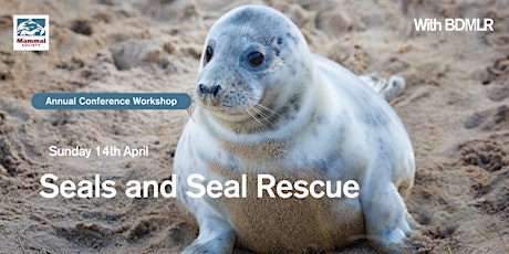 Seals and Seal Rescue
