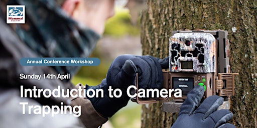 Immagine principale di An Introduction to Camera Trapping 