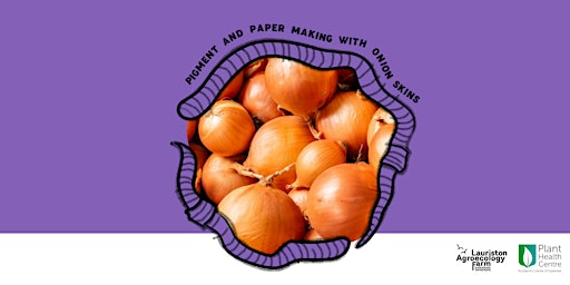 Immagine principale di Pigment and Paper Making with Onion Skins 