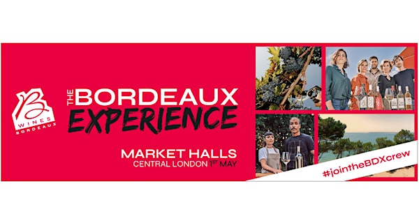 The Bordeaux Experience