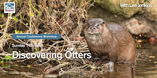 Imagem principal do evento Discovering Otters: introduction to their biology, ecology and field signs