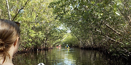 Kayaking with Friends - Into the Woods We Go (reschedule from January)