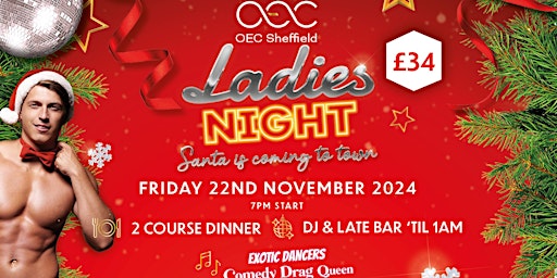 Christmas Ladies Night primary image