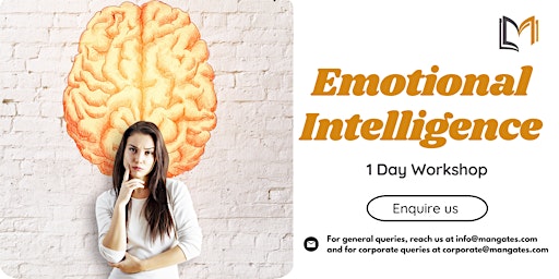 Primaire afbeelding van Emotional Intelligence 1 Day Training in Albuquerque, NM