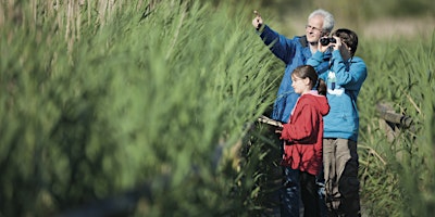 Imagem principal do evento Home Education: Wonderful Wetlands