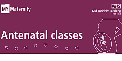 Image principale de ONLINE antenatal class 3 - Postnatal period, caring for your baby&early day