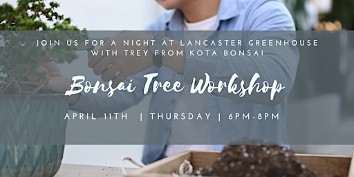 Bonsai Tree Workshop primary image