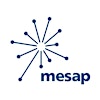 Logotipo da organização Polo Mesap