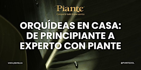 Orquídeas en Casa: De Principiante a Experto con PIANTE