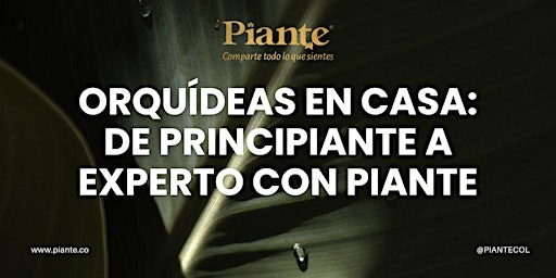 Primaire afbeelding van Orquídeas en Casa: De Principiante a Experto con PIANTE