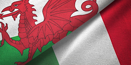 WALES v ITALY with music from The 4th Kind primary image