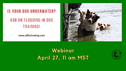 Is your dog underwater? ADB on flooding in dog training