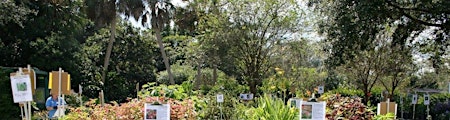 Imagen principal de 2024 Master Gardener  Volunteer Spring Plant Sale