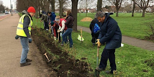 East Wickham Hedgerow Heroes primary image