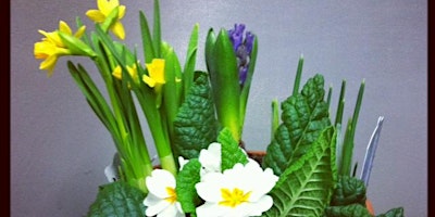 Create your own Spring Plant Pot Arrangement primary image