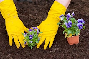 Hauptbild für Earth Day 2024: Community Planting in Jubilee Gardens