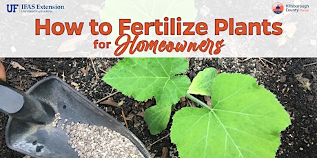 How to Fertilize Plants for Homeowners - In Person