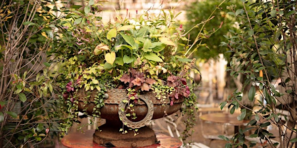 Stylish Autumn Containers