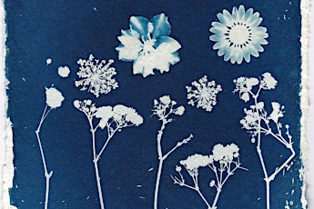 Cyanotype Workshop