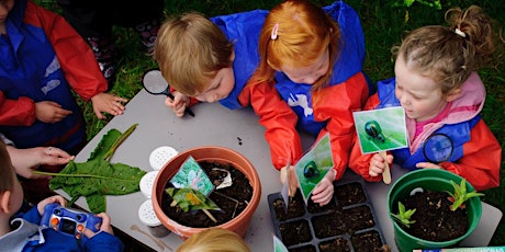 BA Early Years - Online Open Day/BA Addysg a Gofal – Ar-lein Diwrnod Agored primary image