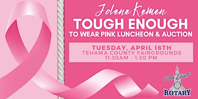 Jolene Kemen Tough Enough To Wear Pink Luncheon primary image