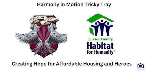 Harmony in Motion Tricky Tray primary image