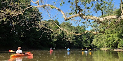 Primaire afbeelding van Campfires: Mississinewa River Float (Matthews)