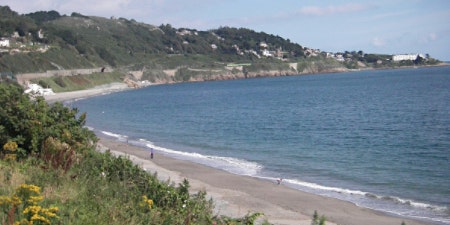 Immagine principale di Dun Laoghaire Loop walk via Shankhill (Ireland) 