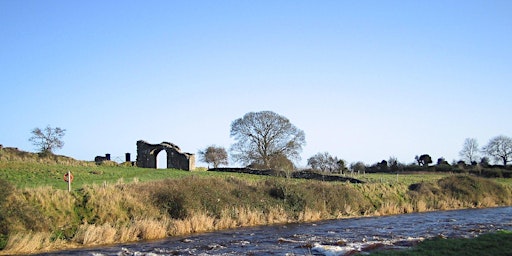 The Camino Walks: the Boyne Valley Camino Route (Ireland) primary image