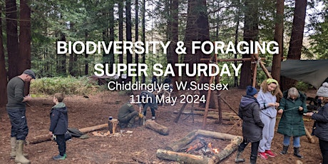 Biodiversity & Foraging Super Saturday