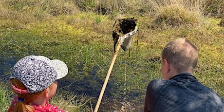 Family Wildlife Explorers