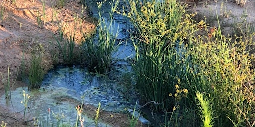 Hauptbild für Víctimas de Terrenos Houston