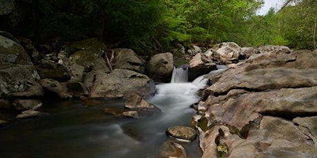 Composition in the Field - Photography Workshop