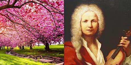 Imagen principal de Vivaldi's The Four Seasons: From Winter to Spring set to Flickering Candles