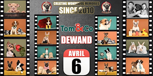 TOM & CO DEWAND SHOOTING PHOTO primary image