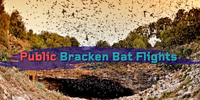 Imagem principal do evento 2024 Public Bat Flights at Bracken Cave Preserve