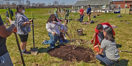 Blue Cap Tree Planting