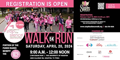 Sisters Network Inc. 14th Annual Stop the Silence 5K Walk/Run primary image