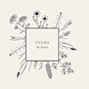 Logotipo de Stems by Devon
